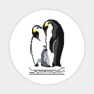 Family of pixel penguins Magnet